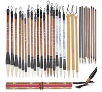 DELORIGIN 30 Pcs Chinese Calligraphy Brush Set Writing Painting Watercolor Ink Brushes with Roll up Bamboo Brush Holder Japanese Sumi Painting Brush Pens for Kanji Calligraphy Lover Gift Beginner
