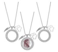 DELORIGIN 3Pcs Pet Fur Jewelry Keepsake Necklace Rhinestone Pet Fur Locket Necklace Pet Ashes Memorial Keepsake Urn Pendant Necklace for Dog Cat Name Photo Portrait Memorial Jewelry Gift (Silver)