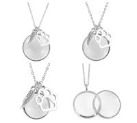 DELORIGIN 3Pcs Pet Hair Memorial Necklace Stainless Steel Fur Ashes Keepsake Necklace Clear Glass Locket Necklaces with Wing & Paw Cat Dog Urn Picture Memorial Jewelry for Women Men Personalised Gift