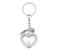 DELORIGIN Pet Hair Memorial Keychain Pet Fur Ashes Keepsake Keychain Clear Glass Locket Keyring with Heart Pendants Cat Dog Urn Picture Memorial Jewelry for Loss of Dog Sympathy Gift