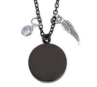 DELORIGIN Pet Hair Memorial Necklace Stainless Steel Fur Ashes Keepsake Necklace Black Locket Necklaces with Wing Cat Dog Urn Memorial Jewelry for Women Men Personalised Gift