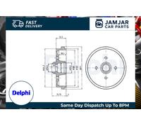 DELPHI BF96 Brake drum
