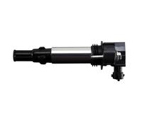 DELPHI CE20017-12B1 Ignition coil