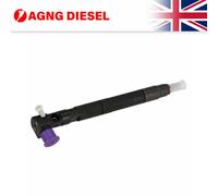 Delphi Diesel Fuel Injector 28229873 For Hyundai Kia i800 2.5 CRDi 338004A710