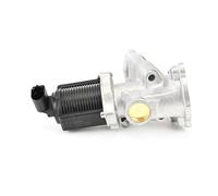 DELPHI EG10258-12B1 EGR valve