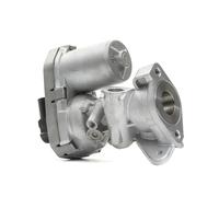 DELPHI EG10399-12B1 EGR valve