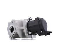DELPHI EG10401-12B1 EGR valve