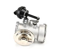 DELPHI EG10409-12B1 EGR valve