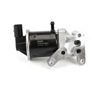DELPHI EG10416-12B1 EGR valve
