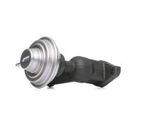 EGR Valve Delphi EG10423-12B1 Fits Citroen Fiat Peugeot Berlingo C4 C5 Synergie