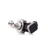 DELPHI EG10431-12B1 EGR valve
