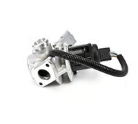 DELPHI EG10435-12B1 EGR valve