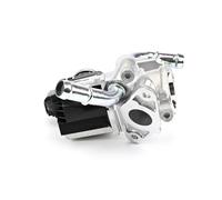 DELPHI EG10438-12B1 EGR valve