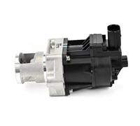 DELPHI EG10496-12B1 EGR valve