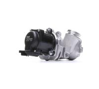 DELPHI EG10507-12B1 EGR valve