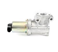 DELPHI EG10614-12B1 EGR valve
