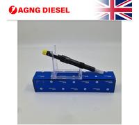 DELPHI R00701D-12B1 Injector