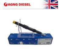 DELPHI R00501Z Nozzle and Holder Assembly