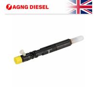 DELPHI R02201Z-12B1 Injector