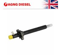 DELPHI R06001D-12B1 Injector
