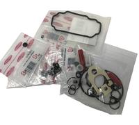 DELPHI FUEL PUMP OVERHAUL KIT 7135-277H