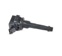 Genuine Delphi Ignition Coil - GN10203-12B1