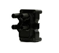 DELPHI GN10205-12B1 Ignition coil