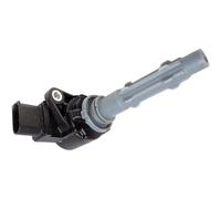 Delphi GN10235-12B1 Ignition Coil
