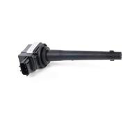 Delphi Ignition Coil GN10317-12B1 - Fits Nissan & Renault (Micra 1.6, Qashqai, Clio, Laguna)