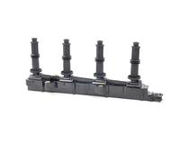 DELPHI GN10363-12B1 Ignition coil