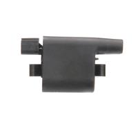 DELPHI GN10396-12B1 Ignition coil