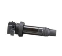 Genuine Delphi Ignition Coil - GN10590-12B1