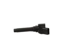 DELPHI GN10958-12B1 Ignition coil