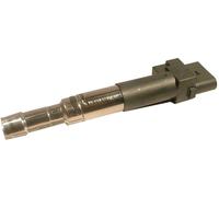 Delphi Ignition Coil GN10442-12B1 for VW, Ford, Seat – New
