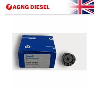 Delphi Injection Nozzle Valve Kit 7206-0460-12B1