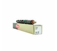 Delphi Fuel Injector R05001D-12B1