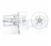 Delphi Pair of Brake Discs BG310