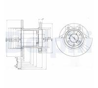 Delphi Pair of Brake Discs BG649