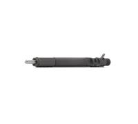 DELPHI R04701D-12B1 Injector