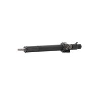 DELPHI R06001D-12B1 Injector