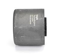 DELPHI TD2036W Trailing arm / Suspension arm bush