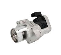 Delphi Technologies EG10455-12B1 EGR Valve
