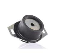 DELPHI TEM065 Engine mount