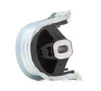 DELPHI TEM125 Engine mount