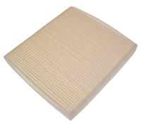 DELPHI TSP0325305 Pollen filter
