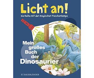 Delphine Gravier-Bad Mein großes Buch der Dinosaurier: Licht an (Lic (Hardback)