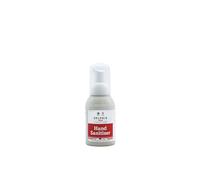 Delphis Eco Hand Sanitising Foam - Plant-based, Vegan Hand Sanitiser, Free from Alcohol, Phosphates and Phosphonate, 100 ml. Travel size sanitiser. Handbag Size.