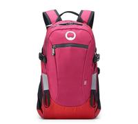 Delsey Paris Nomad S backpack 42 cm laptop compartment red