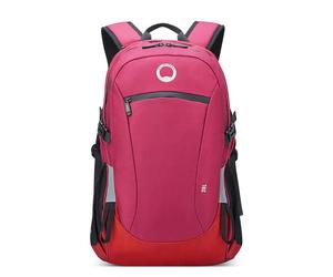 Delsey Nmd 13´´ 11l Backpack