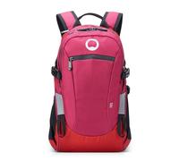 Delsey Paris Nomad S backpack 42 cm laptop compartment red